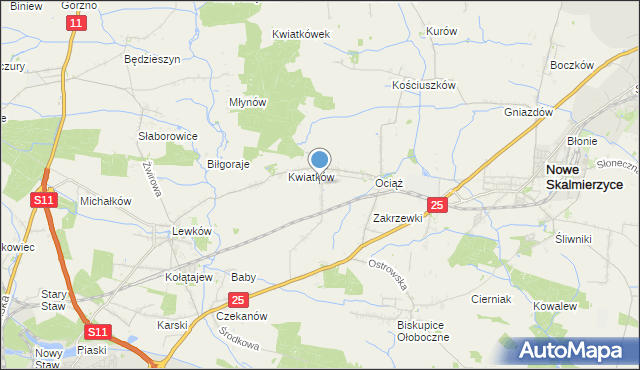mapa Fabianów, Fabianów gmina Nowe Skalmierzyce na mapie Targeo